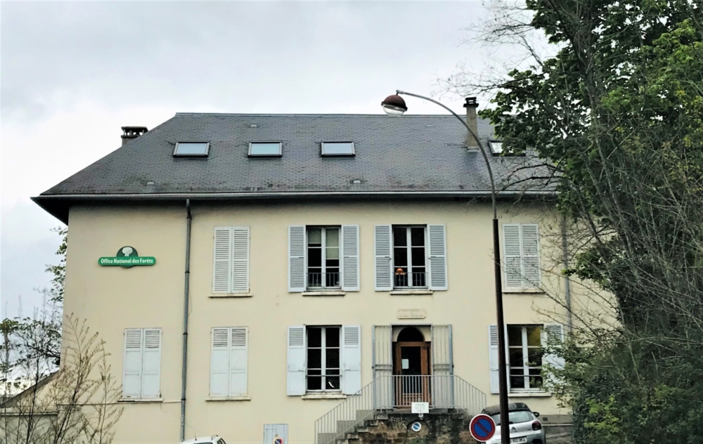 Rénovation du site de l